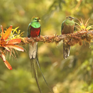 Costa Rica