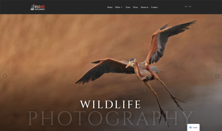 Our New Digital Era: Welcome to Our Brand New Website!